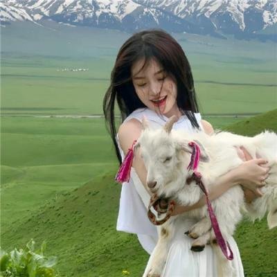 全能纳米机械狗 海报