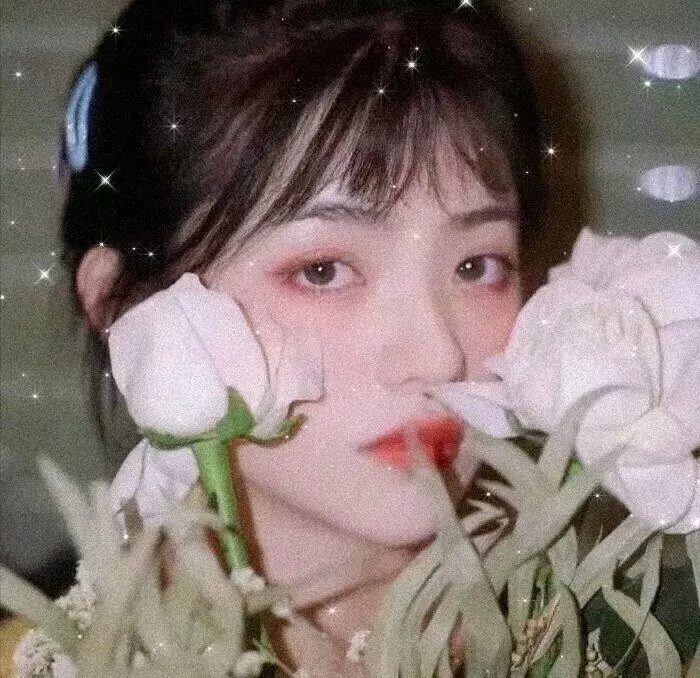 燃烧的玫瑰 缩略图