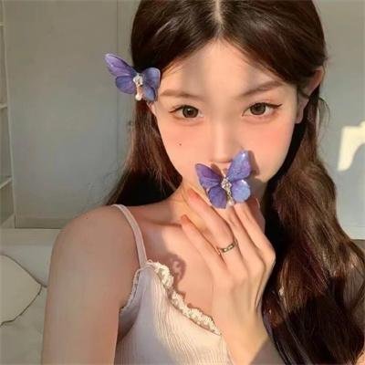 好莱坞以北 海报